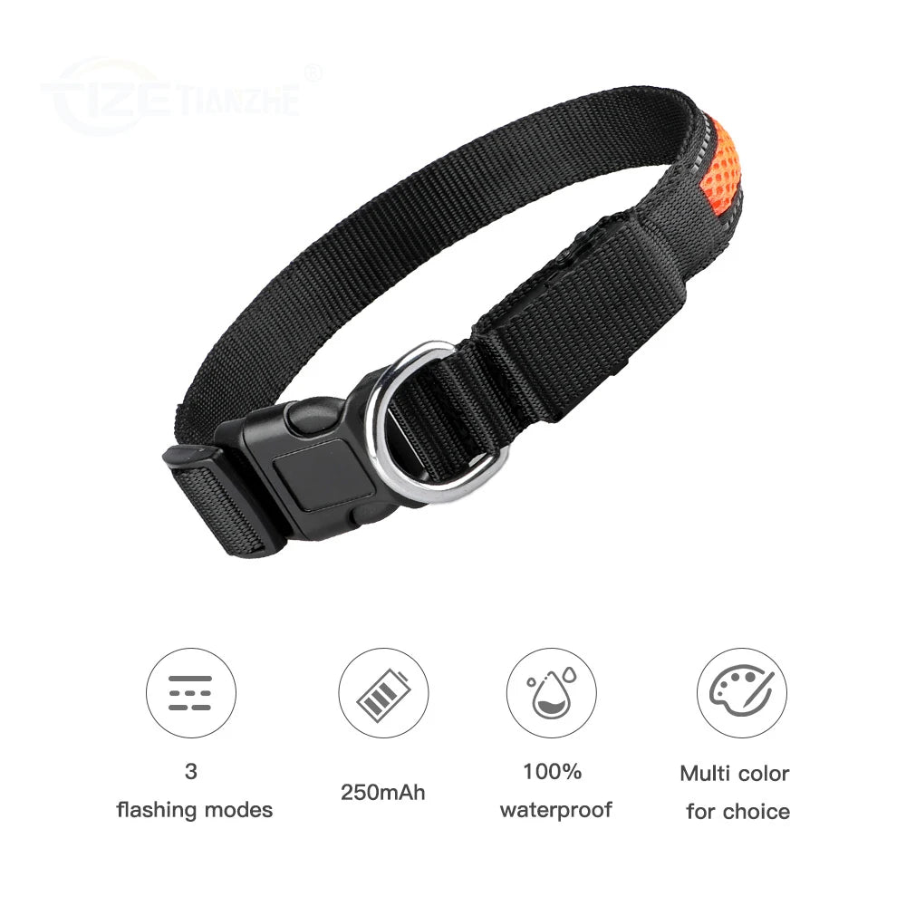 LED Safety Waterproof Dog Collar