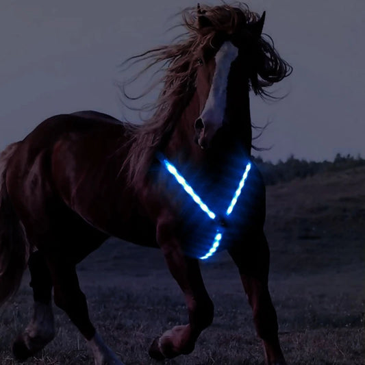 Horse LED Collar Breastplate Night Visible Safe