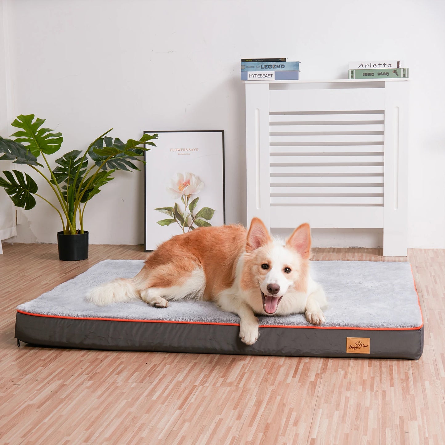 Large Waterproof Orthopedic washable Dog Bed