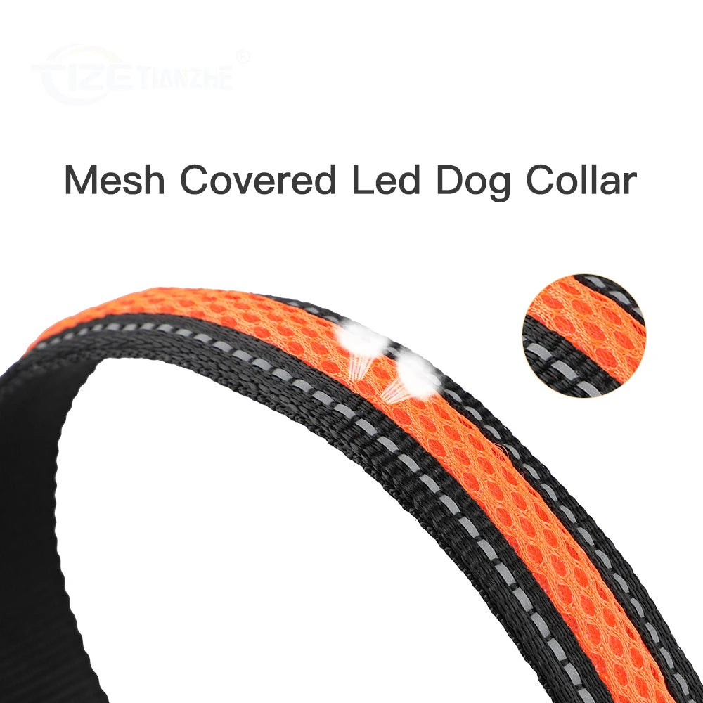 LED Safety Waterproof Dog Collar