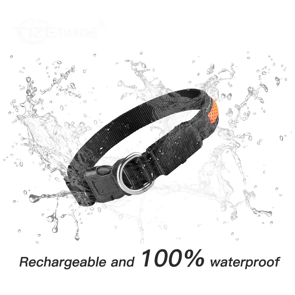 LED Safety Waterproof Dog Collar