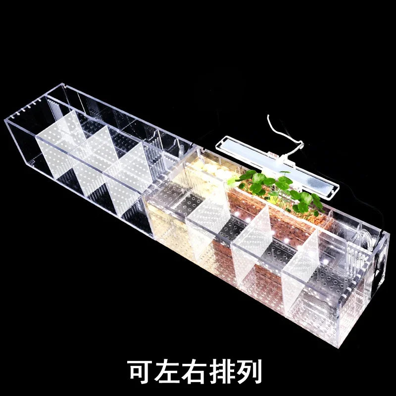 Acrylic Micro Small Fish Tank