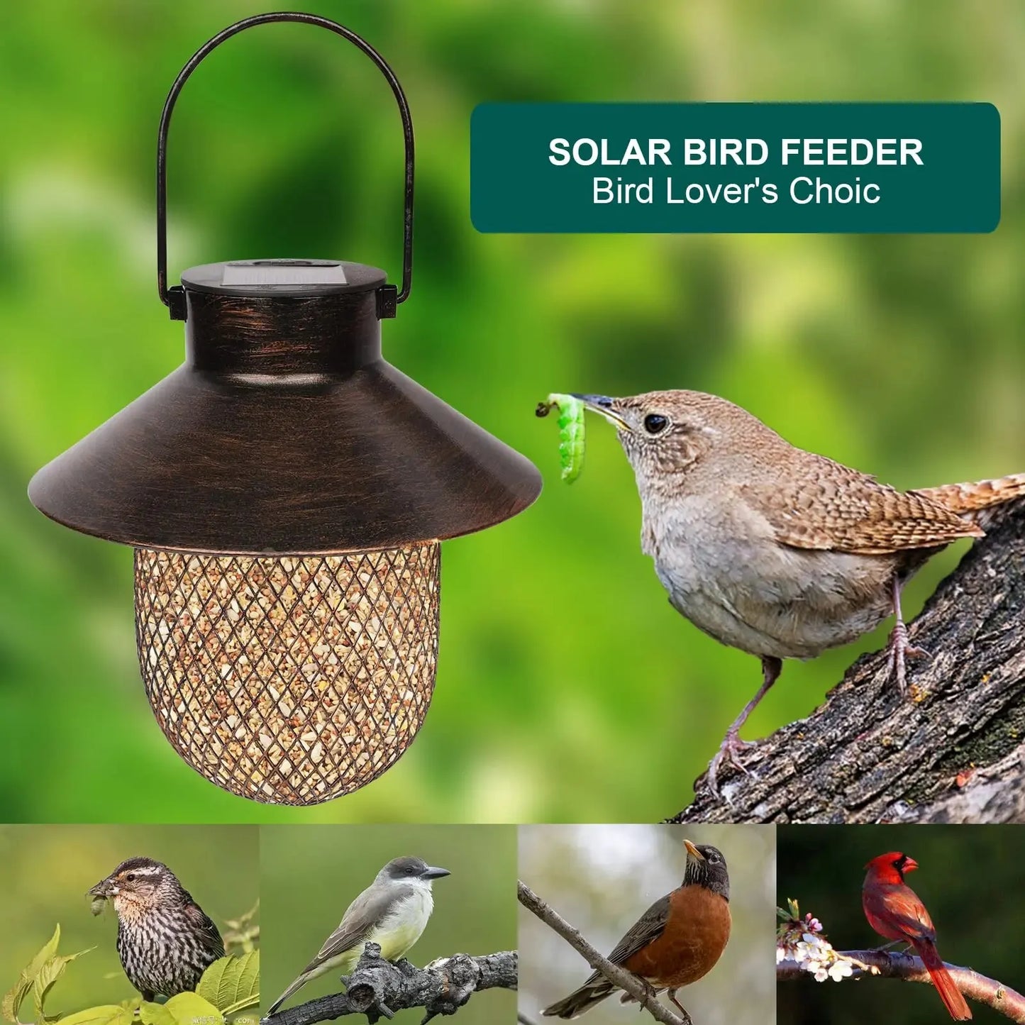 Heavy Duty Copper Metal Mesh Owl Shaped Feeder and a Solar Bird Feeder