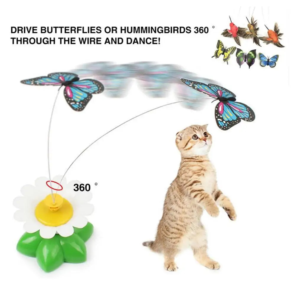 Rotating Colorful  Electric Flying Butterfly and Humming Bird