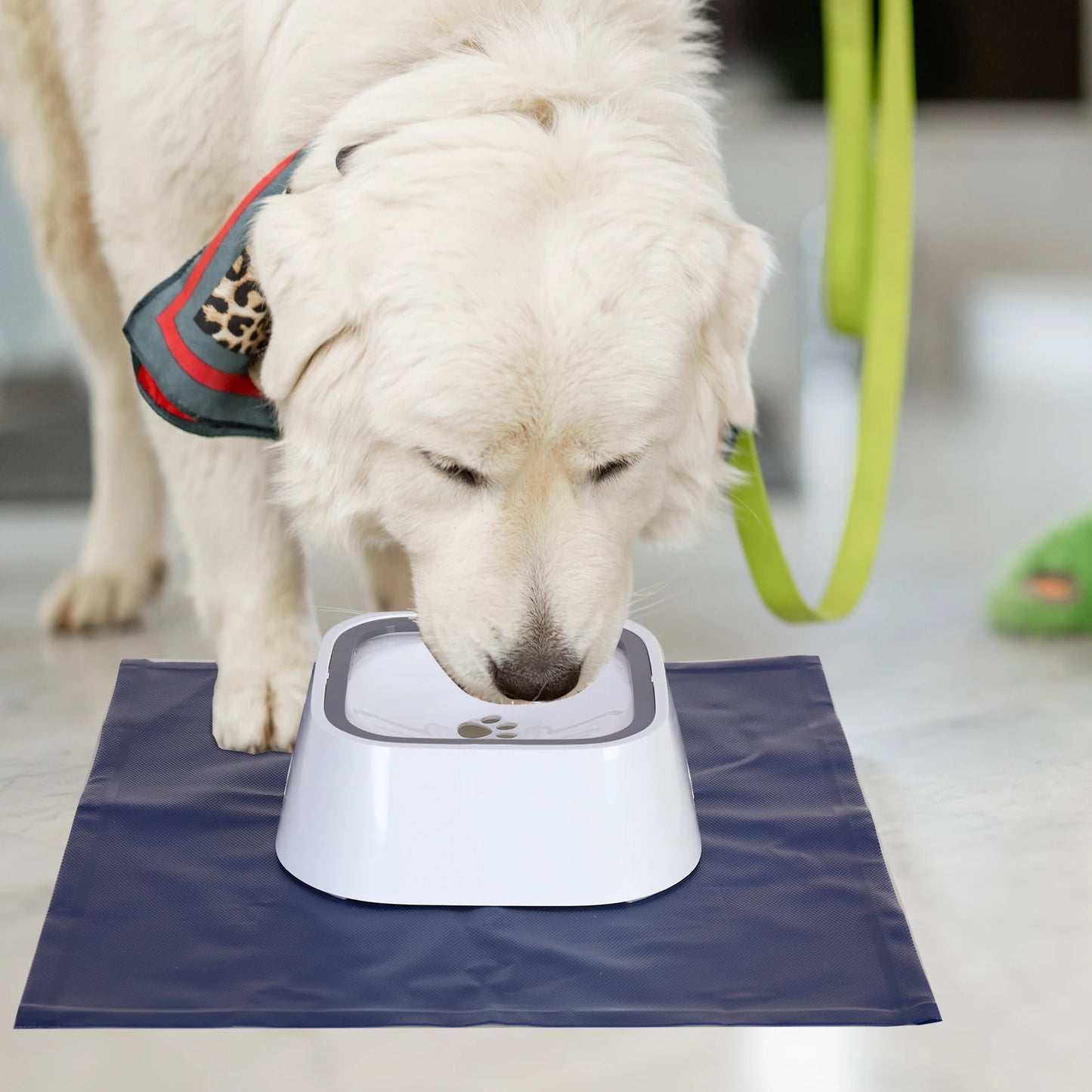 No Spill Dog, Cat Feeder Dispenser and Water Bowl