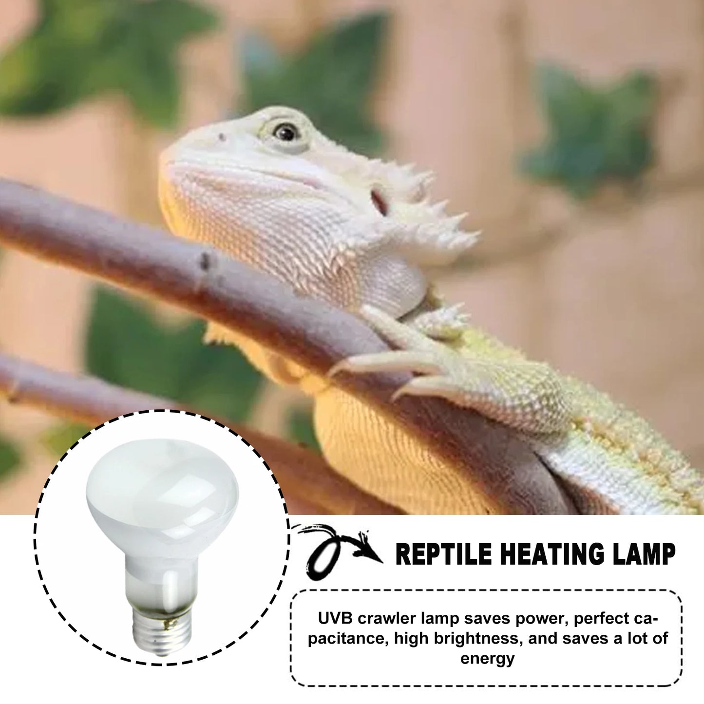 UVA+UVB Reptile Heating Lamp