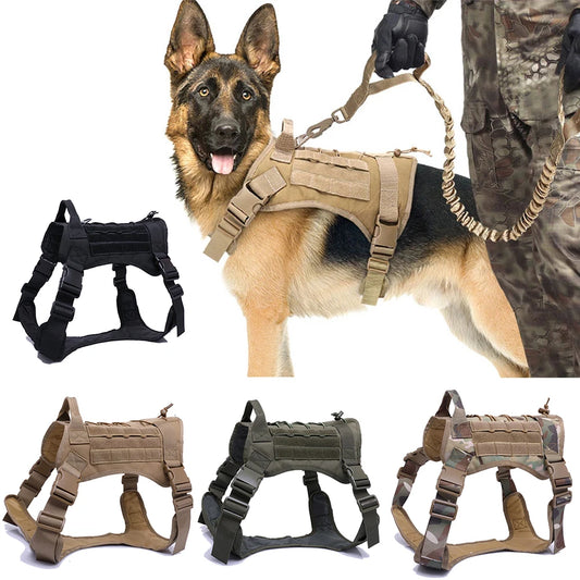 Training Vest Dog Harness With Leash Set