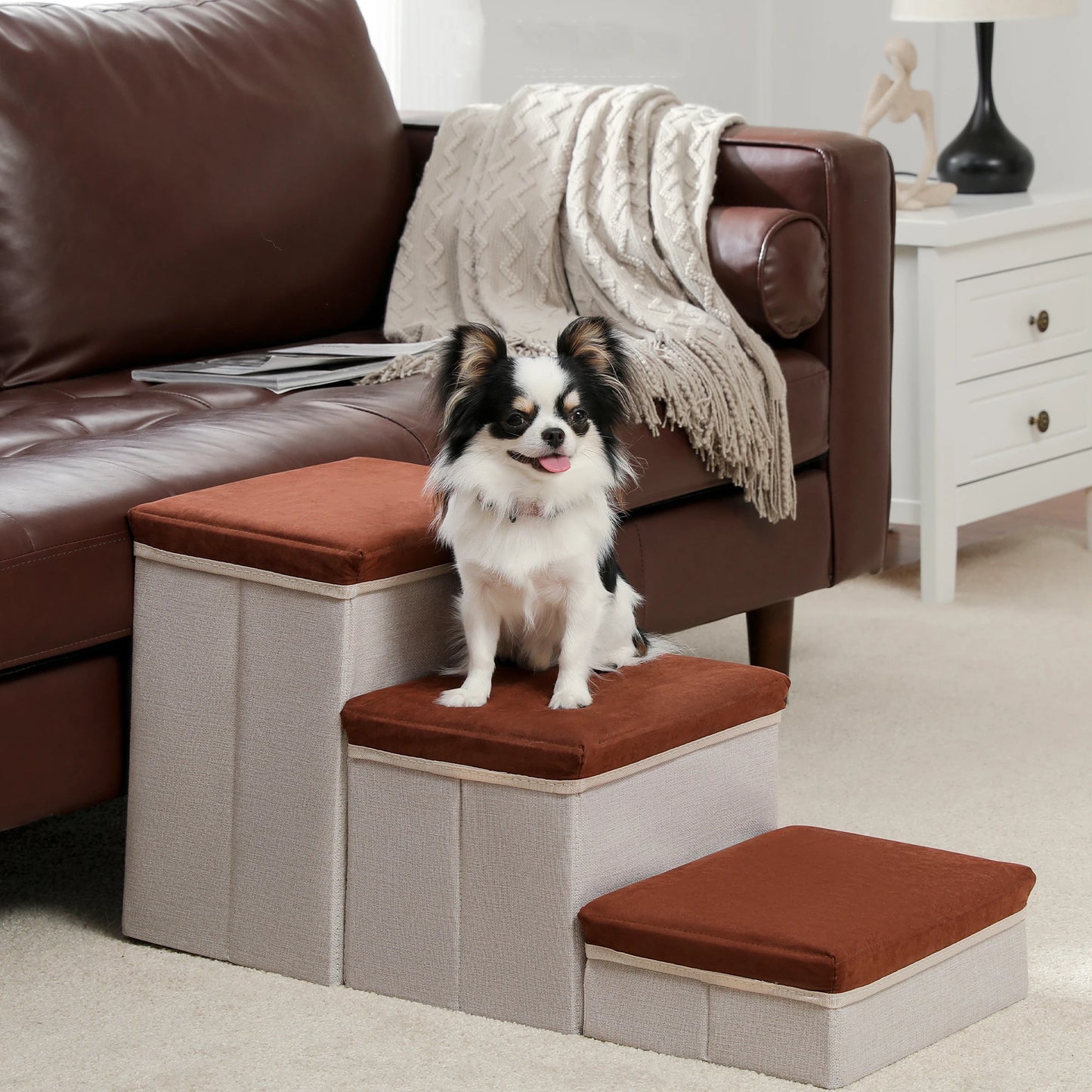 Foldable 2 in 1 Pet Steps and Dog Ladder Safety Ramps