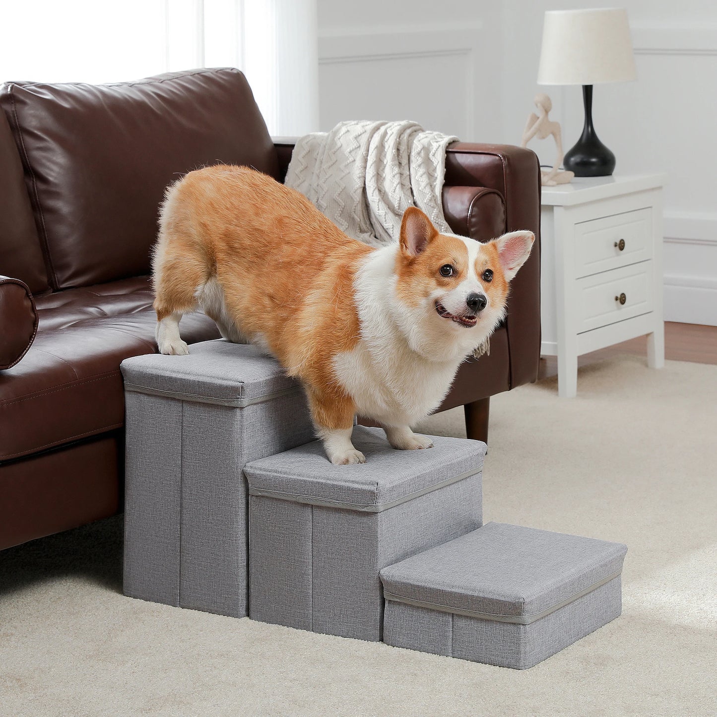 Foldable 2 in 1 Pet Steps and Dog Ladder Safety Ramps