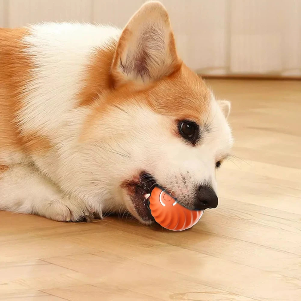 Interactive Automatic Moving Dog Balls with Rubber Shell