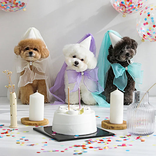 Pet Birthday and Wedding Party Hat