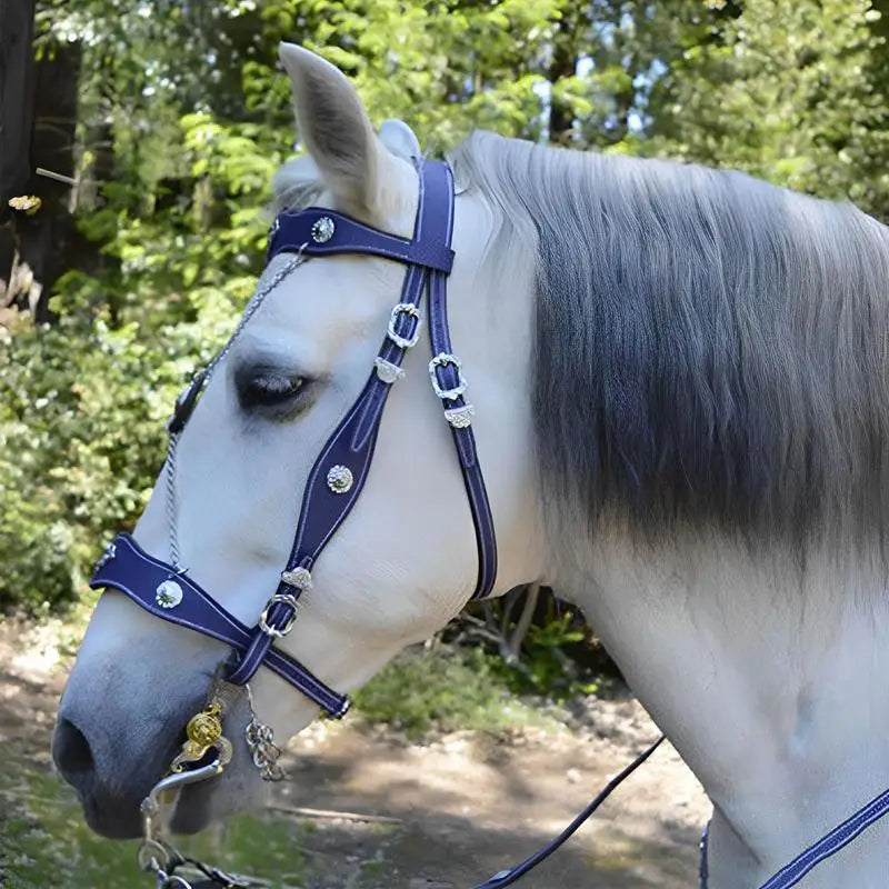 Adjustable  Comfortable Unfettered Riding Horse Bridle With Reins