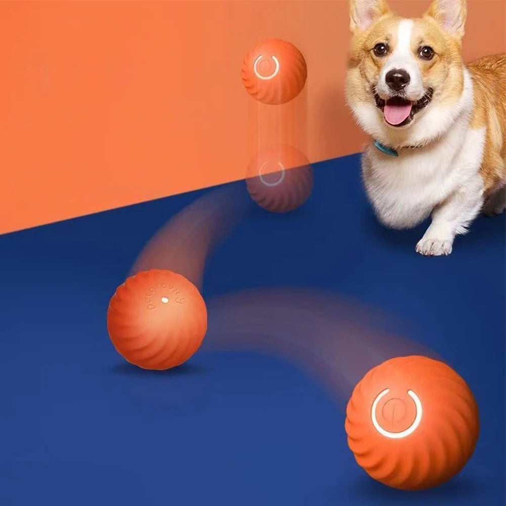 Interactive Automatic Moving Dog Balls with Rubber Shell