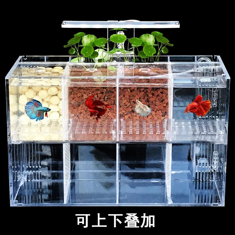 Acrylic Micro Small Fish Tank