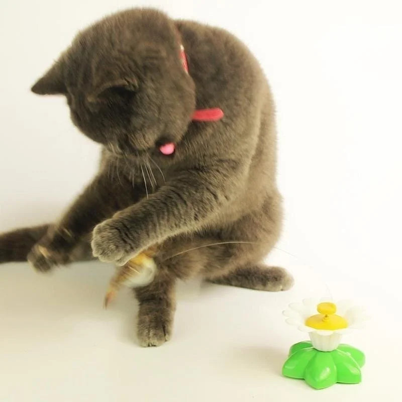 The Flower Pet Cat Toys