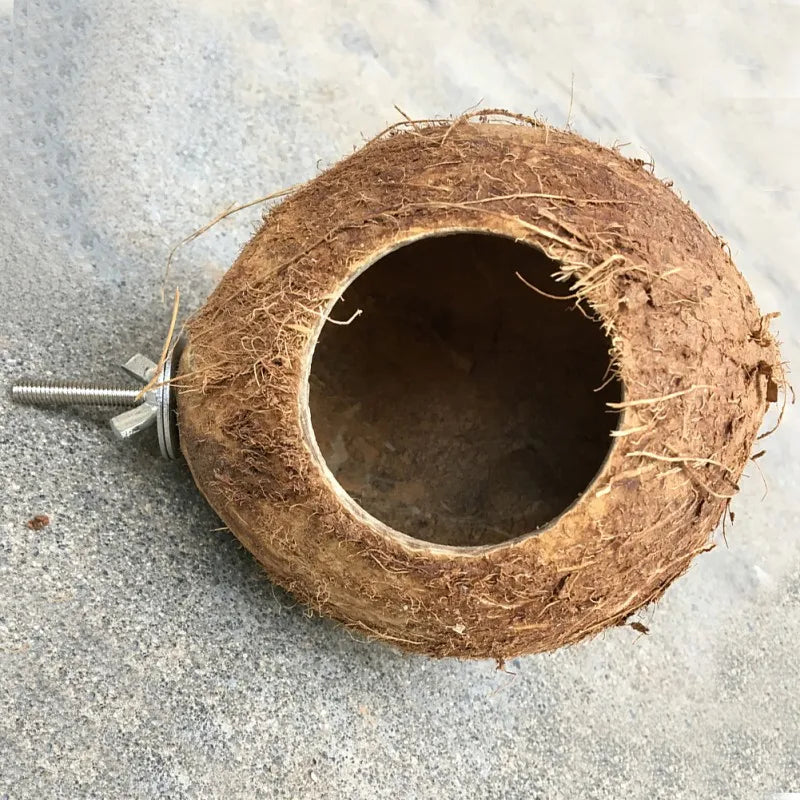 Pet Bird Comfortable Coconut Shell Breeding Nest