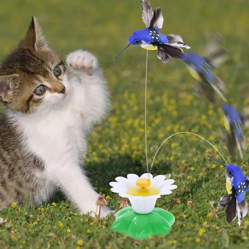 Cat Toy Simulation Rotating Electric Hummingbird