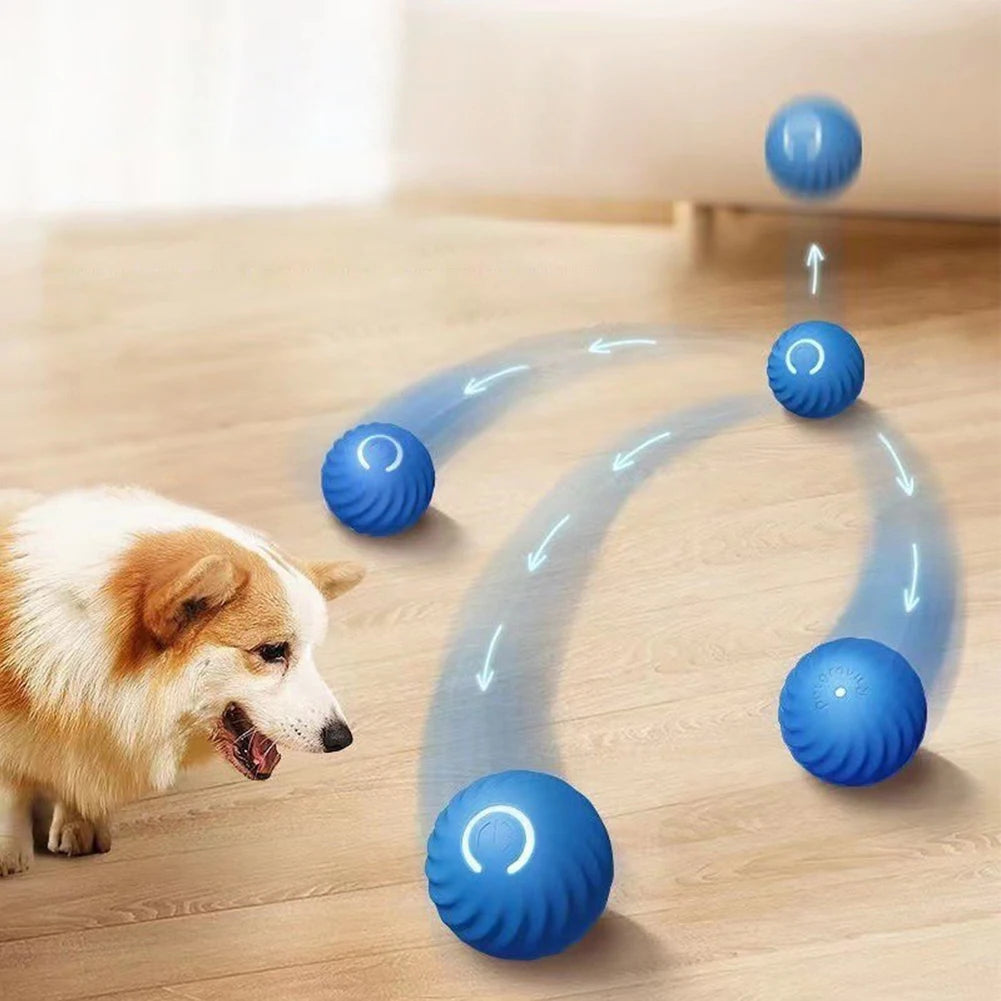 Interactive Automatic Moving Dog Balls with Rubber Shell