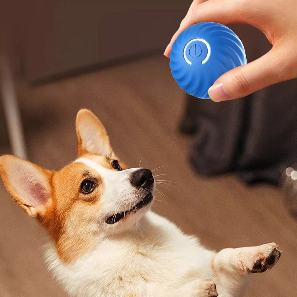 Interactive Automatic Moving Dog Balls with Rubber Shell