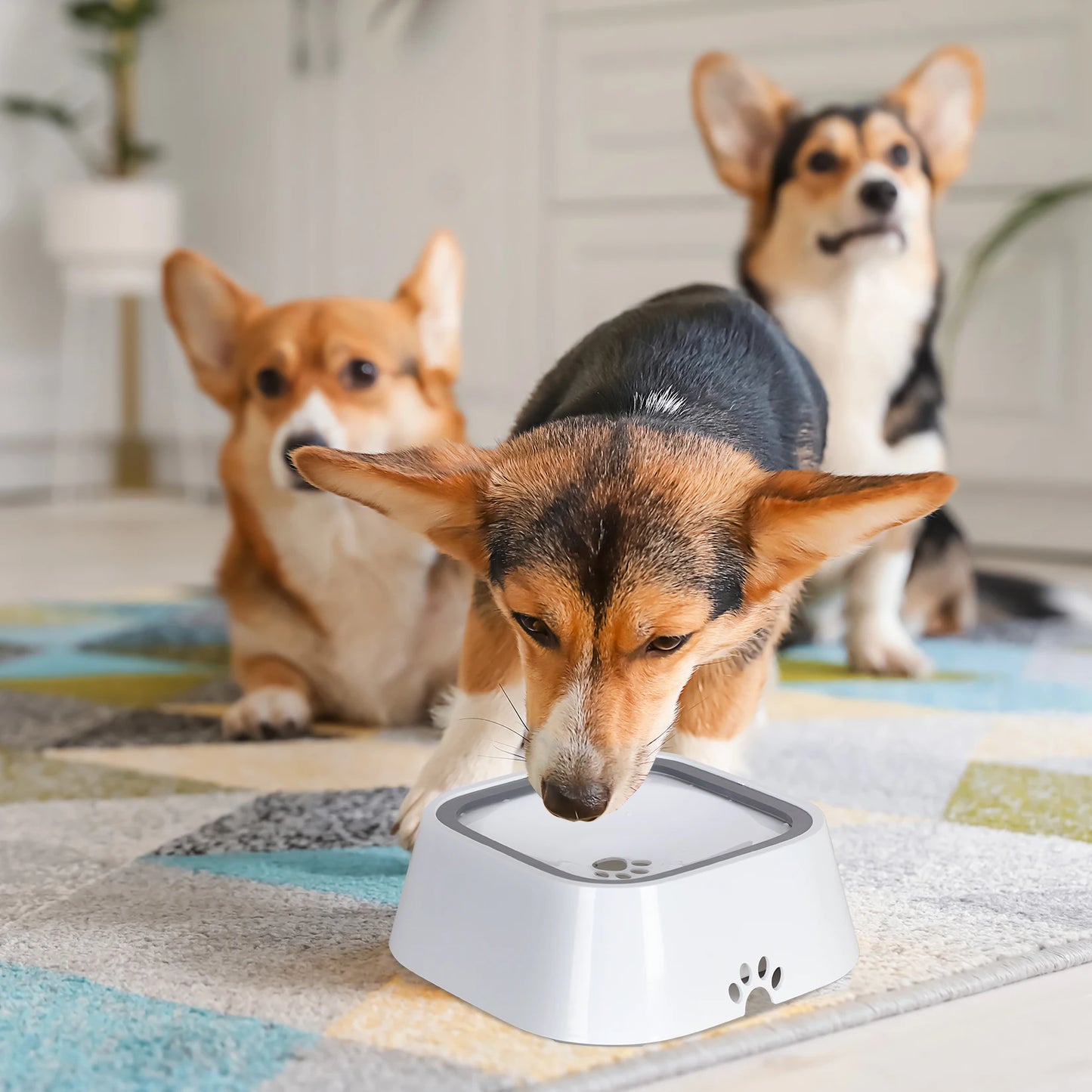 No Spill Dog, Cat Feeder Dispenser and Water Bowl