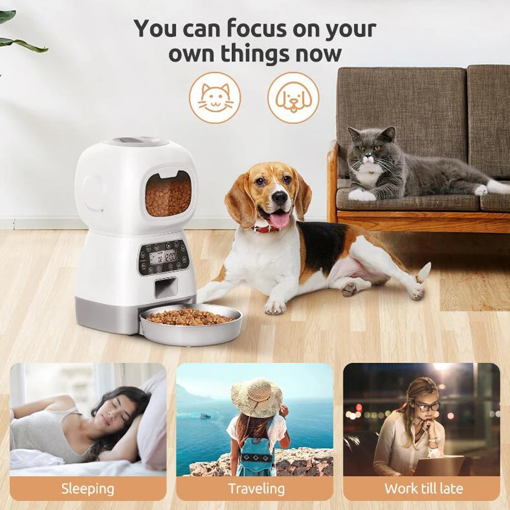 Automatic Pet Feeder For Cats