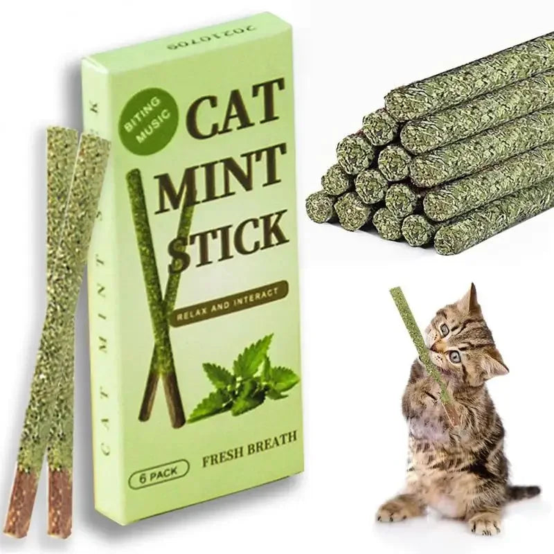 6pcs Natural Matatabi Mint Teeth Cleaning Cat Stick