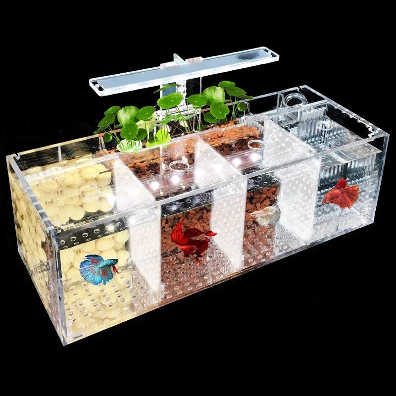 Acrylic Micro Small Fish Tank