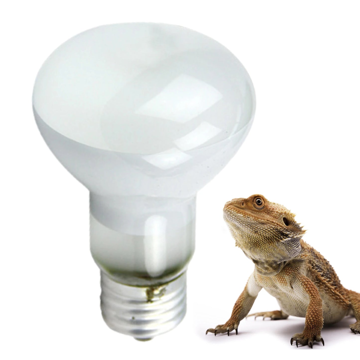 UVA+UVB Reptile Heating Lamp