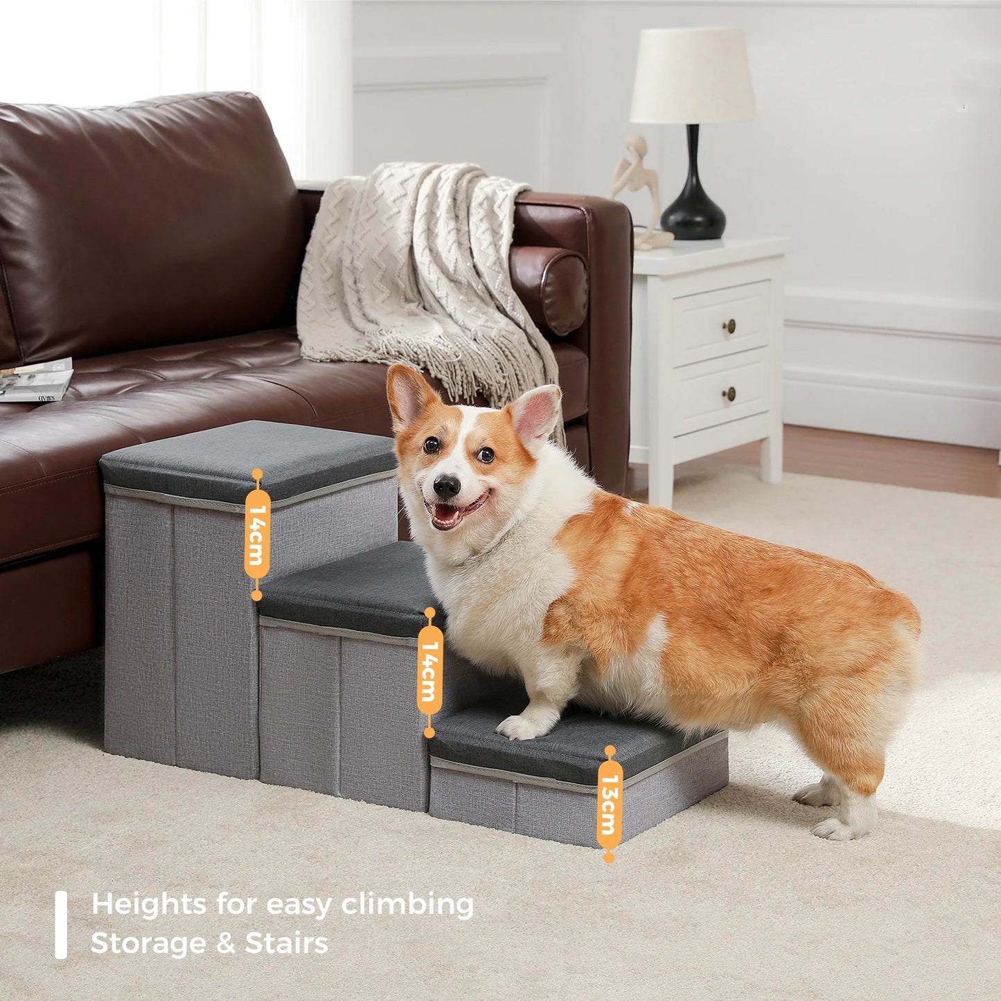 Foldable 2 in 1 Pet Steps and Dog Ladder Safety Ramps