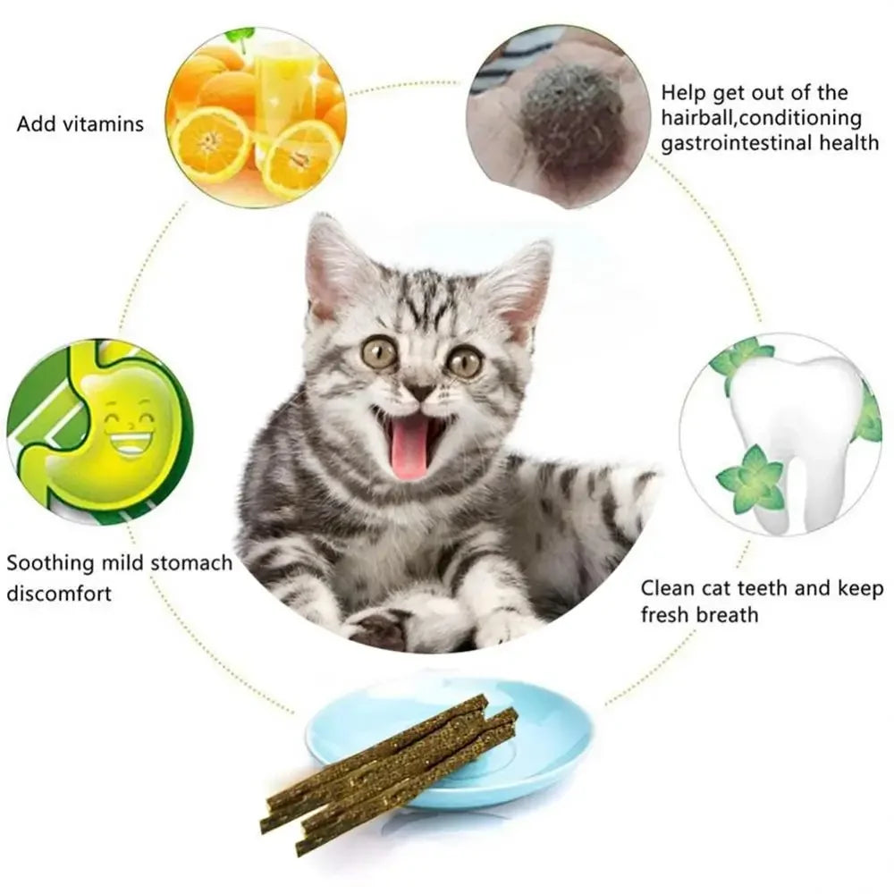 6pcs Natural Matatabi Mint Teeth Cleaning Cat Stick