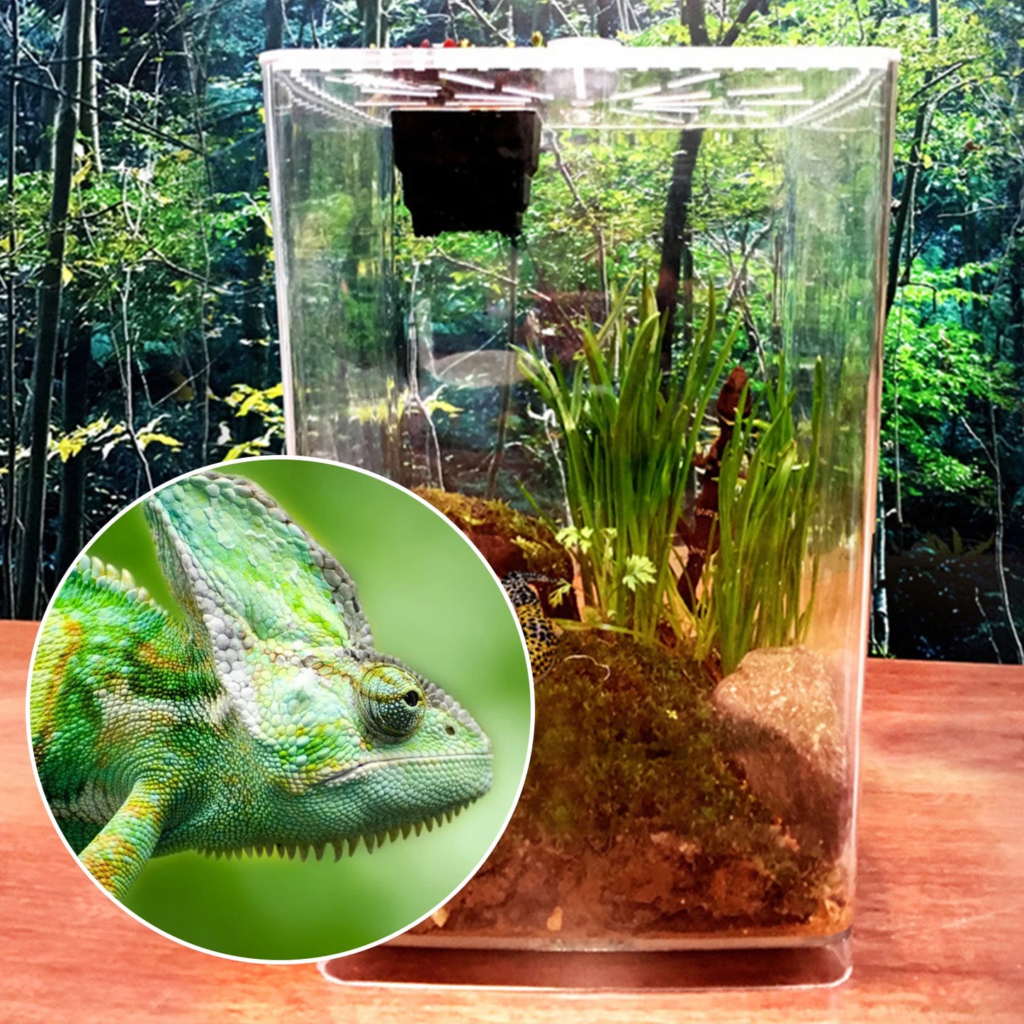 Transparent Acrylic Reptile Breeding Box