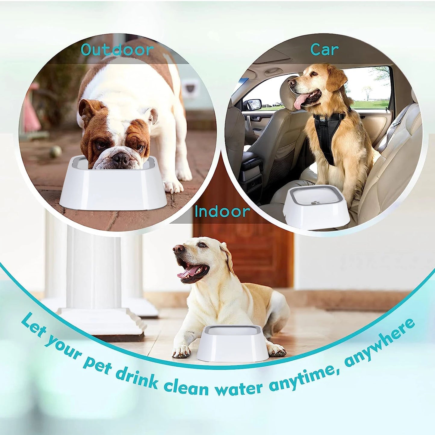 No Spill Dog, Cat Feeder Dispenser and Water Bowl