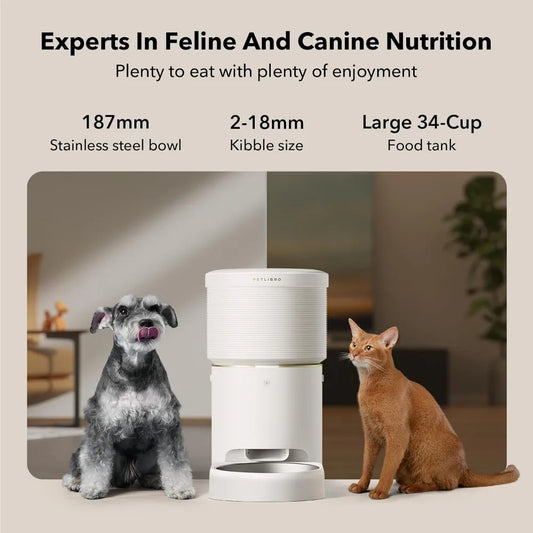 Vacuum-Sealed Automatic Cat and Dog Feeders,