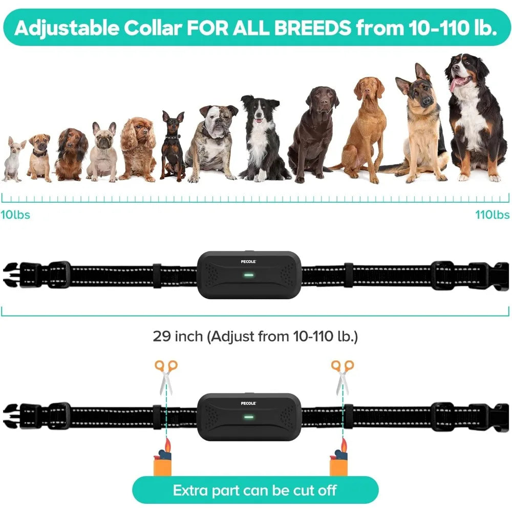 Dog Shock Collar, Training with Remote, 1600FT, 3 Training Modes, Rechargeable Waterproof